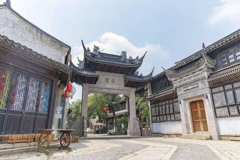 活久见!双头乌龟4根腿玩“漂移”,跑的真挺快!